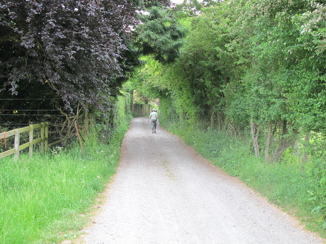 Oxfordshire Way through Henley Park