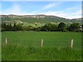 Greenaghan Townland