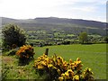 View from Glassmullan