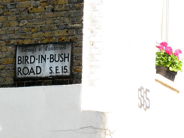 Bird-in-Bush Road, Peckham