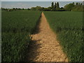 Footpath junction near Swanton Mill