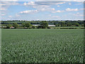 Farmland near Highthorn 