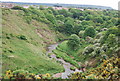 Scalby Beck (Sea Cut)