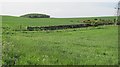 Arable land, Gartwhinnie