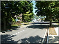 Looking up Hillview Road towards the crossroads