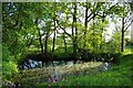 Pond Near Hoe Wood