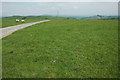 Grassland above Tylwch