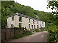 Cottages near Calstock