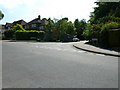 Looking from Dale Wood Road towards Red Cedars Road