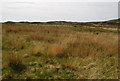 NM3919 : Moorland SW of L. Assapol, Mull by David G Campbell