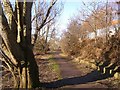 Footpath along the River Mersey