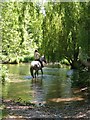 Fording the Kennet