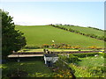 Fields by Witchburn Road, Campbeltown