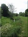 Waterhead Brook beside the WCML