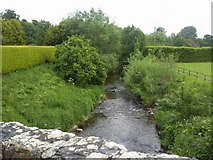O1250 : Broadmeadow River, Co Dublin by C O'Flanagan
