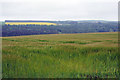 Farmland and view to Wester Clune farm