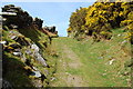 Bridleway onto the mountain