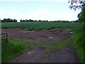 W8471 : Potato field, Ballintubbrid East Townland by Mac McCarron