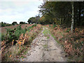 Footpath on Older Hill