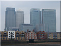 Isle of Dogs