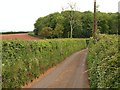 ST2036 : Lane to Tuxwell Farm by Derek Harper