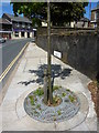 Ornamental tree surround, Station Road, Redruth