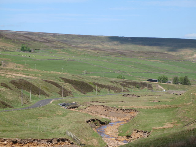 The valley of Rookhope Burn above Lintzgarth