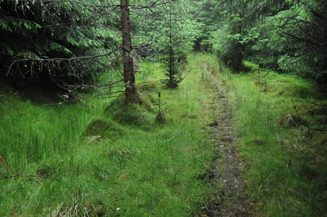 Overgrown forest track in Glen Duror © Steven Brown cc-by-sa/2.0 ...