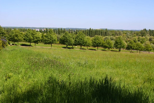 Campbell Park in Milton Keynes © Steve Daniels cc-by-sa/2.0 :: Geograph ...