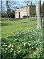 Northdown House in Spring