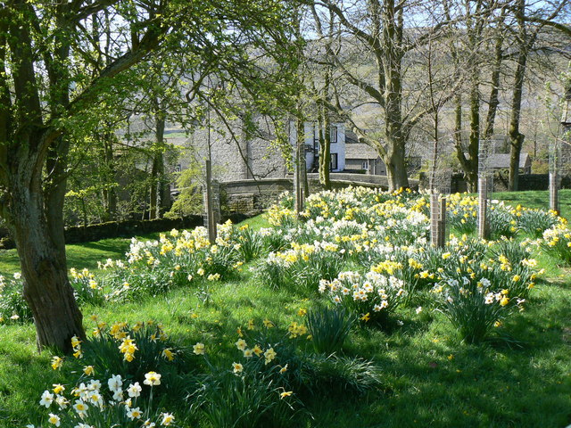Kettlewell in Spring