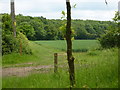 TL9441 : Footpath to Cowper's Wood by Andrew Hill
