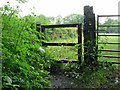 Iron stile - Coychurch