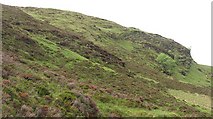 NN4934 : Vegetated crags by Richard Webb