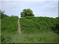 Part of the Iron Age fort, Caerau