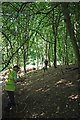 Hauling Logs in Coopers Wood