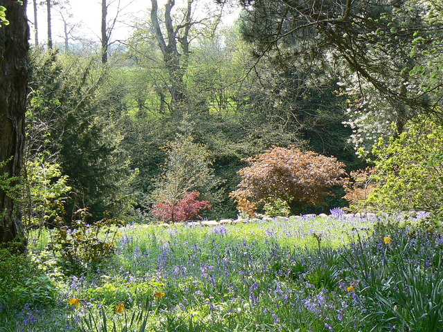 Constable Burton gardens