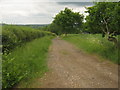 Farm track to Fitchetts Farm