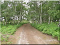 Footpath to Brick Kiln Walks