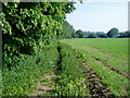 Footpath to Wicks Farm