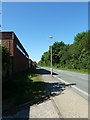 Lamppost in Summersdale Road