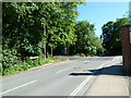 Looking down Summersdale Road towards the College Lane crossroads