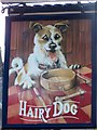 Sign for the Hairy Dog