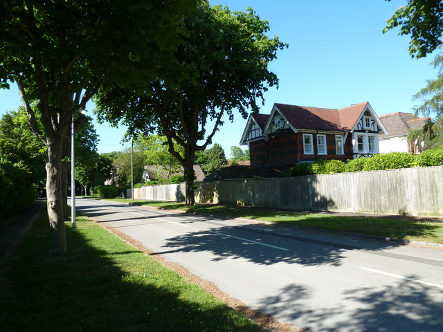 A quiet afternoon in Summersdale © Basher Eyre cc-by-sa/2.0 :: Geograph ...