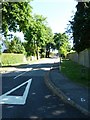 Road markings in The Avenue