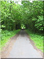 Former Railway Line, Now the Tarka Trail