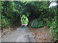 Coldblow Lane, near Thurnham