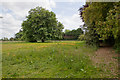 Footpath at Sopley Park