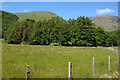 Field at Invercharnan