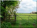 Footpath meets road